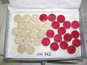 32 ivory draughts