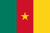 Flag of Cameroon
