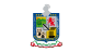 Flag of Nuevo León